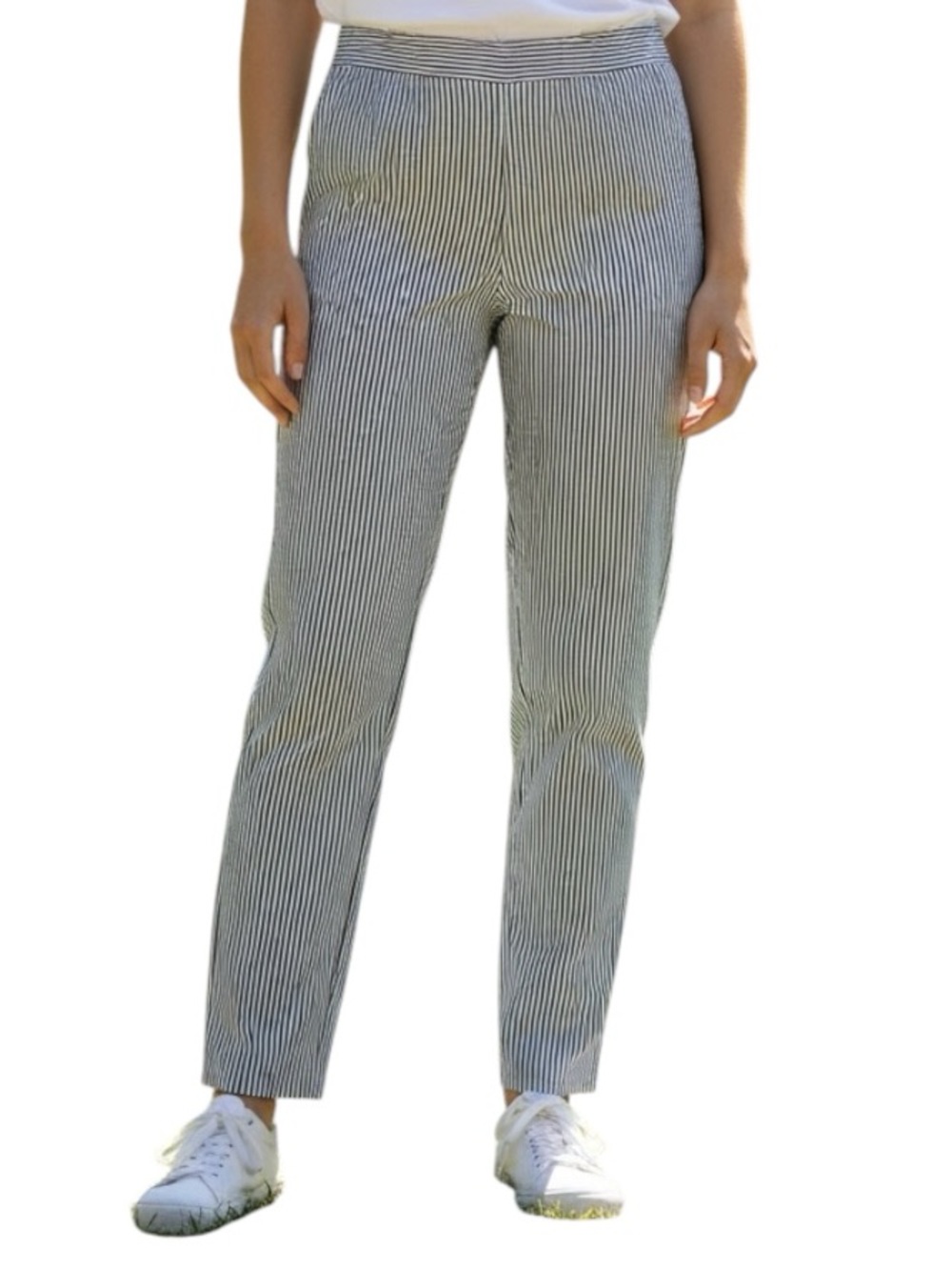 Talbots Chatham Ankle Blue High Rise Pinstripe Seersucker Career Summer Pants 6